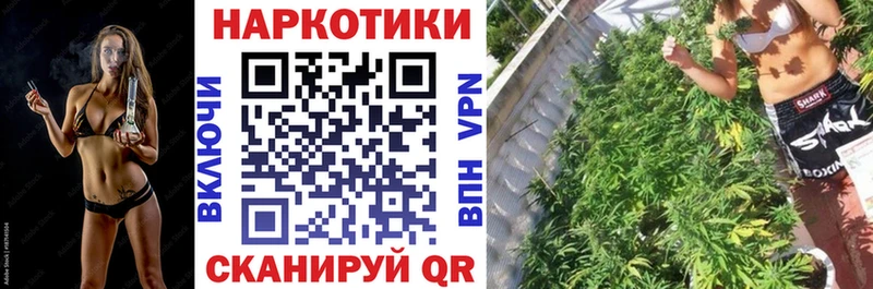Где найти наркотики Ростов COCAIN  blacksprut зеркало  Амфетамин  Alpha PVP  ГАШИШ  БУТИРАТ  Меф мяу мяу  Галлюциногенные грибы  Канабис 