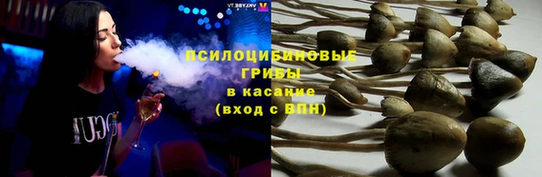 мет Арсеньев